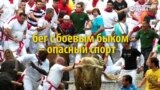 Фестиваль Сан-Фермин в Испании: опасные бега с быками