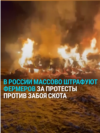 В России начали массово штрафовать фермеров за акции против забоя скота