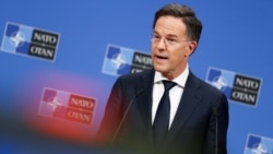 Угроза со стороны России и финансирование альянса. Главное из доклада генсекретаря НАТО