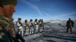 В Гренландии пройдут учения "Арктическая выносливость". Кто из стран НАТО примет в них участие