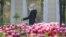 Kazakhstan. A woman in a protective mask is walking down the street. Almaty, April 25, 2020