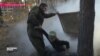 Бойцы полка "Азов" учат стрелять девятилетних украинских детей