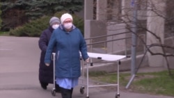 Как политики отрицали распространение коронавируса в России