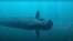 RUSSIA -- The Poseidon nuclear-powered and nuclear-armed unmanned underwater vehicle during the final stage of testing, July 19, 2018
