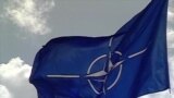 Грузию пока не берут в НАТО