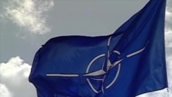Грузию пока не берут в НАТО