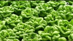 Настоящее Время. Америка – 3 марта