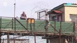 Новости. Коротко