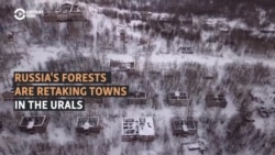 In Russia's Urals, Abandoned Industrial Towns Are Reclaimed By Forest