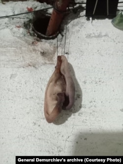 Фото из переписки, в которой Роман Демурчиев пишет, что собирается собрать "гирлянду" из ушей