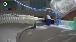 Новости. Коротко