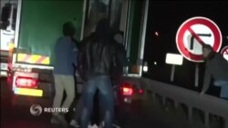 Мигранты забрались в грузовик с белым медведем из России