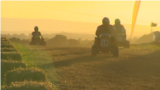 lawn tractors race 
