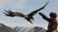 Kyrgyzstan -- A Kyrgyz berkutchi (eagle hunter) releases his bird, a golden eagle, during the hunting festival "Salburun" in the village of Alysh, March 13, 2016