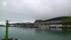 Новости. Коротко