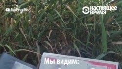 На берегу Дона нашли десятки выпотрошенных посылок "Почты России"