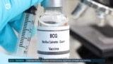 Детали: вакцина БЦЖ может лечить рак печени