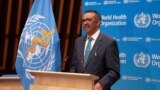 Америка: ВОЗ проведет расследование вспышки COVID-19