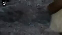 Новости. Коротко