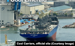 Судно Cool Emerald, на котором в порт Санкт-Петербурга прибыл контейнер с кокаином