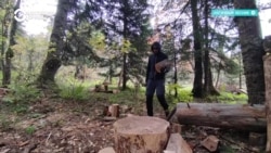 Рассказывает Адам Калинин, российский айтишник, скрывающийся от мобилизации в глухом лесу
